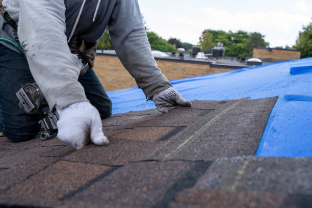 Best Roof Repair Services  in Redwater, TX